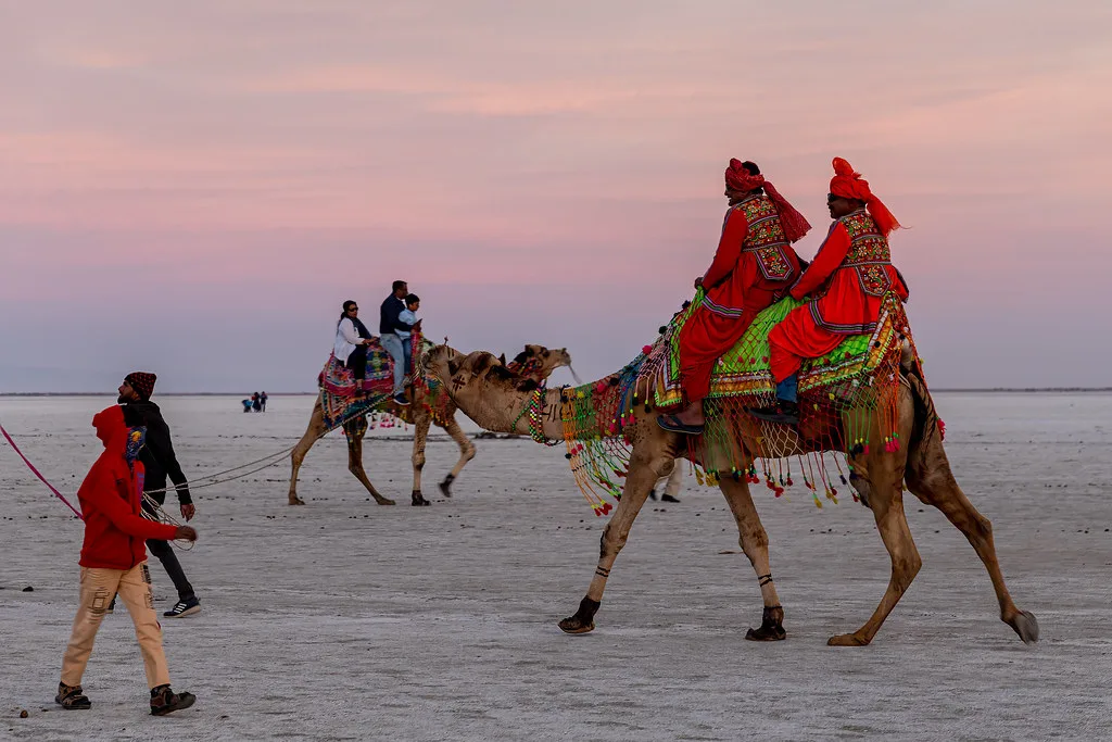 Festival at Rann of Kutch