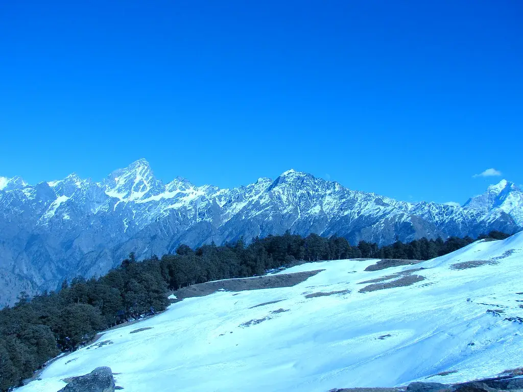 Gurso Bugyal in Auli